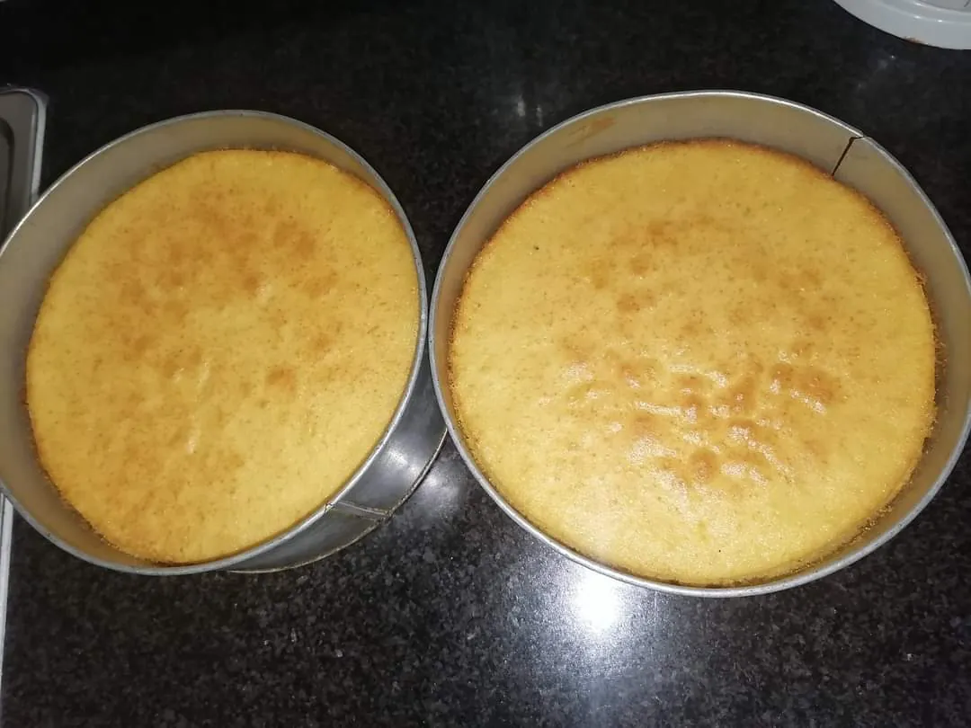 Freshly baked sponge layers in baking tins